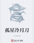 男主女主是柳如夏,柳剑南,肖逸的小说是什么_孤星冷月刀