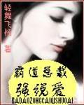 男主女主是苏叶,齐烨,顾烨的小说是什么_霸道总裁强说爱