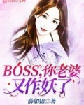 小说《BOSS，你老婆又作妖了》TXT百度云_BOSS，你老婆又作妖了