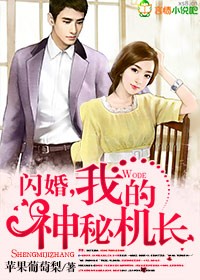 闪婚我的神秘军长_闪婚，我的神秘机长