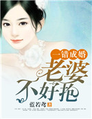 男主女主是傅昱廷,傅氏,薇薇的小说是什么_一错成婚：老婆，不好抱