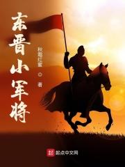 男主女主是刘义之,刘道芬,刘平的小说是什么_东晋小军将