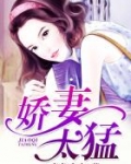 男主女主是蒋裕,王莉,李玲的小说是什么_娇妻太猛