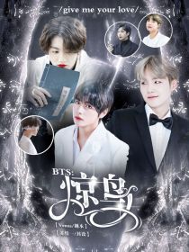 宋妍金南俊《BTS：惊鸟》_BTS：惊鸟