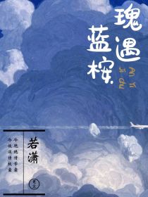 男主女主是张鑫辉,季初,刘磊的小说是什么_瑰遇蓝桉