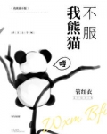 小说《我熊猫不服》TXT百度云_我熊猫不服