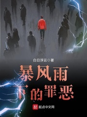 男主女主是何木,罗彬,李峰的小说是什么_暴风雨下的罪恶