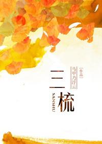 三梳小说完整版_三梳