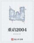 男主女主是李白,洛洛,张果果的小说是什么_重启2004