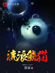 男主女主是陈宇,杨丽,宋博的小说是什么_流浪熊猫