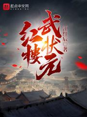 贾芸贾政《红楼武状元》_红楼武状元