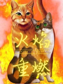 猫武士火焰重燃_猫武士火焰重燃