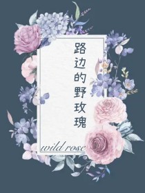 男主女主是沅洛,宋依滕,陈月琴的小说是什么_路边的野玫瑰