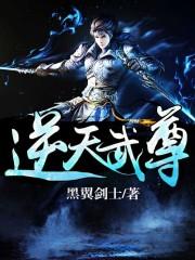 逆天武尊全本小说_逆天武尊