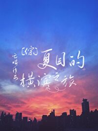 男主女主是夏目,国木田,阿鲁金的小说是什么_夏目的横滨之旅