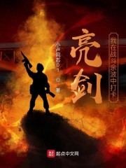 王有胜李云龙《亮剑：我在战斗余波中打卡》_亮剑：我在战斗余波中打卡