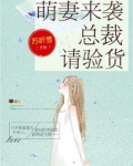 小说《夏星辰慕北夜》TXT百度云_夏星辰慕北夜