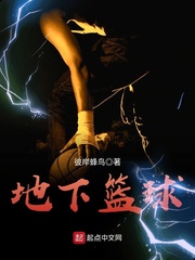 男主女主是陆峰,罗飞,谢涛的小说是什么_地下篮球
