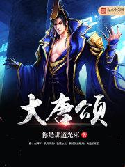 李玄清徐天翔《大唐颂》_大唐颂