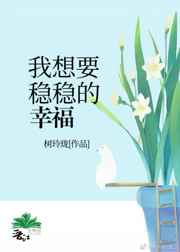 男主女主是陈靖,肖晏铮,宋珊珊的小说是什么_我要的稳稳的幸福