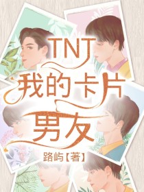 小说《TNT：我的卡片男友》TXT下载_TNT：我的卡片男友