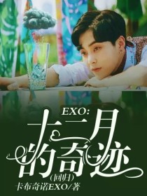 小说exo十二人回归_EXO：十二月的奇迹（回归）