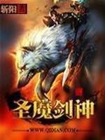 小说《圣魔剑神》TXT百度云_圣魔剑神