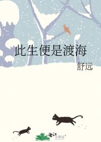 男主女主是林净宁,温渝,李湘的小说是什么_此生便是渡海