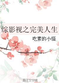 小说《综影视之完美人生》TXT百度云_综影视之完美人生