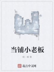 男主女主是叶聪,王美凤,刘川的小说是什么_当铺小老板