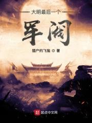 大明最后一个军阀epub_大明最后一个军阀