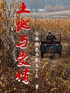 男主女主是赖宝庆,老刘,赖毛娘的小说是什么_土地与爱情