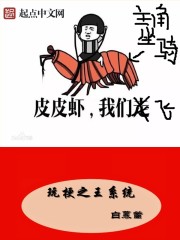 男主女主是李牧,霄云,龙皓宇的小说是什么_玩梗之王系统
