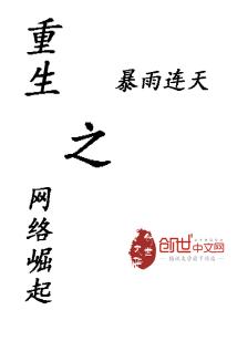 男主女主是刘宁,丁磊,唐辉民的小说是什么_重生之网络崛起