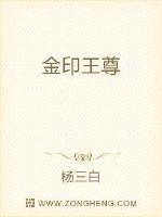 男主女主是杨冰,苏季瑶,苏振强的小说是什么_金印王尊