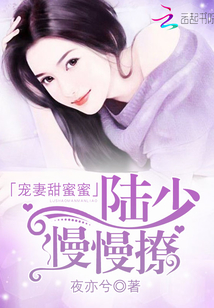 小说《宠妻甜蜜蜜：陆少，慢慢撩》TXT百度云_宠妻甜蜜蜜：陆少，慢慢撩