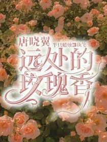 小说《唐晓翼：远处的玫瑰香》TXT百度云_唐晓翼：远处的玫瑰香