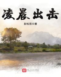 男主女主是林风,欧阳蕾,刘翔的小说是什么_凌晨出击