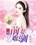 小说《二婚前妻难驯》TXT下载_二婚前妻难驯