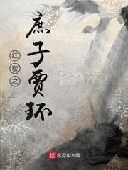 男主女主是林道儒,宝玉,林霭的小说是什么_红楼之庶子贾环