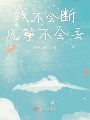 男主女主是马嘉洛,嘉洛,刘雨的小说是什么_线不会断风筝不会丢