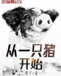 男主女主是苏千,庄小贤,亚米的小说是什么_从一只猪开始