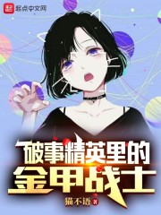 男主女主是胡强,莫菲,张伟的小说是什么_破事精英里的金甲战士