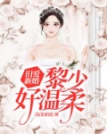 小说《旧爱新婚，黎少好温柔》TXT下载_黎少追妻又翻车了