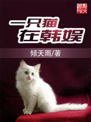 小说《一只猫在韩娱》TXT百度云_一只猫在韩娱