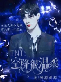 小说《TNT：空降很温柔》TXT百度云_TNT：空降很温柔