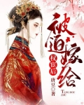 男主女主是洛青,林又棠,林苏的小说是什么_被迫嫁给权宦后
