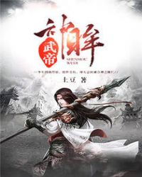 王邵华王天《神眸武帝》_神眸武帝