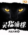 猫侦探小说_灵猫侦探