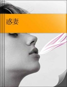 男主女主是刘辉,潘子,王润玲的小说是什么_惑妻